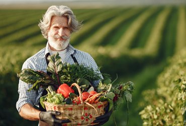 Hướng dẫn thanh toán